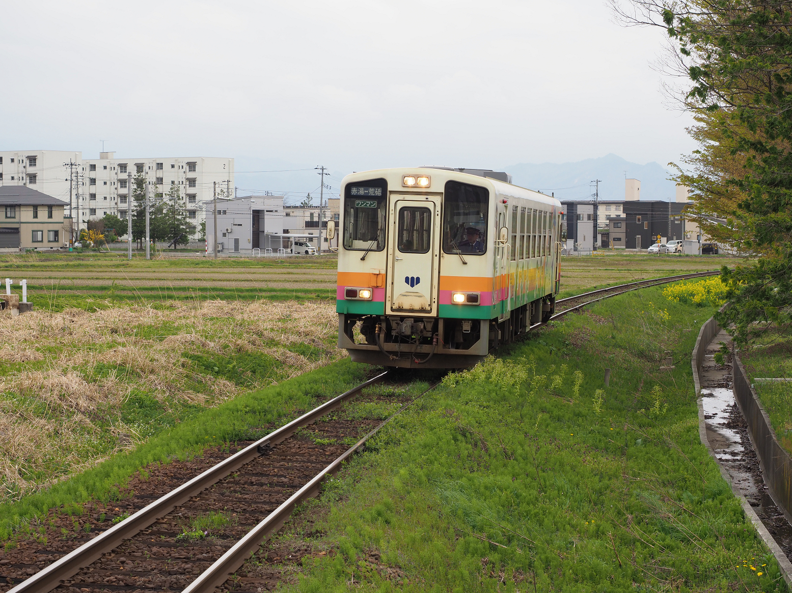 P5010434.jpg