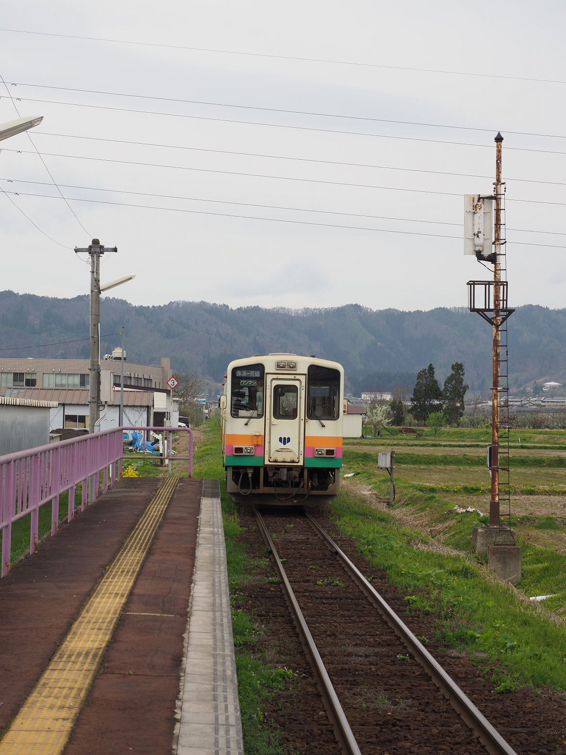 P5010460.jpg