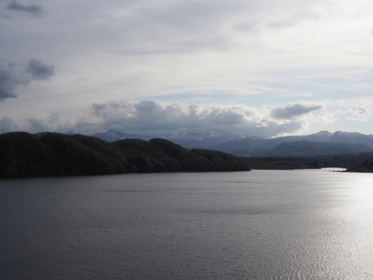 P5010536.jpg