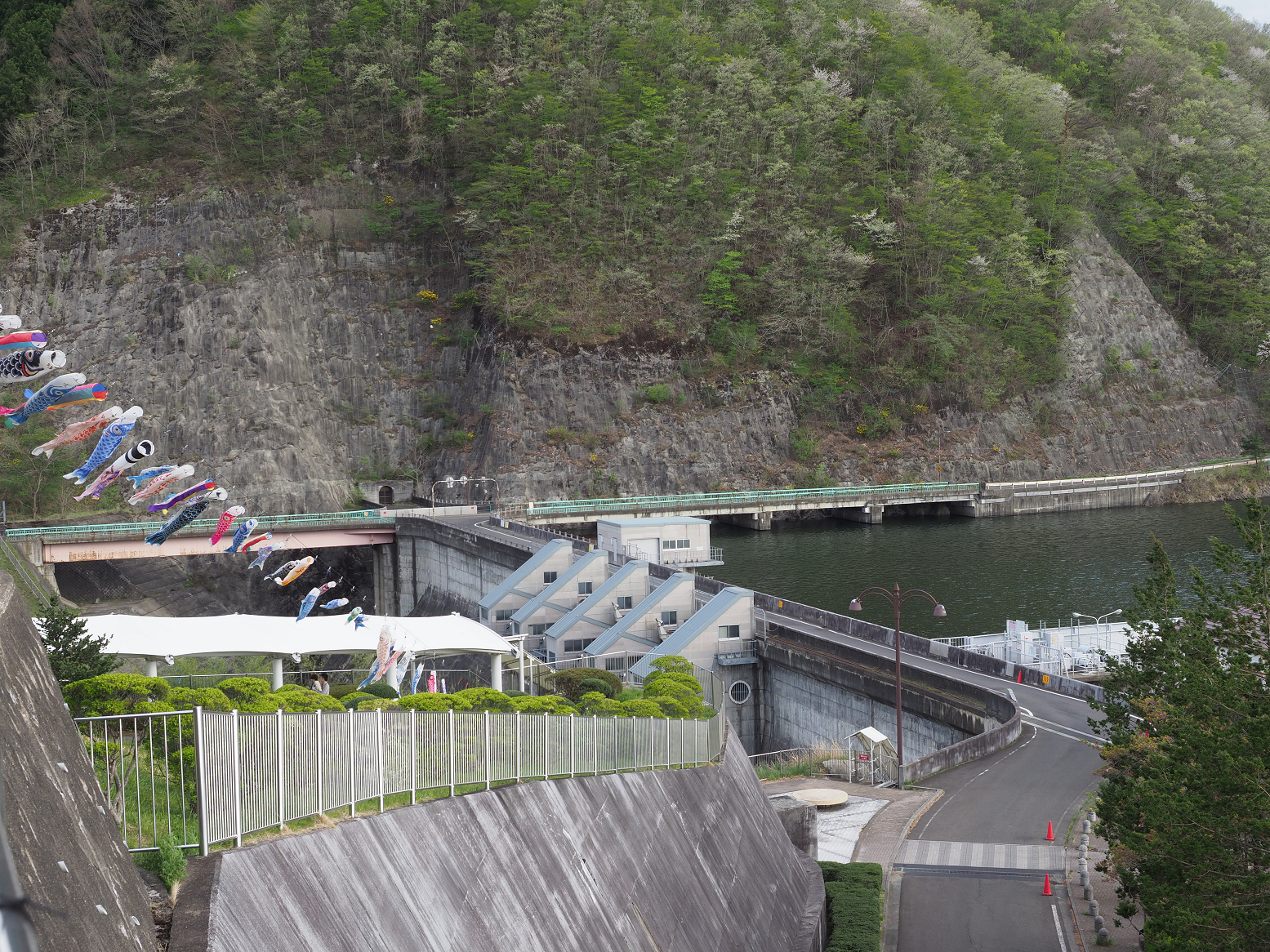 P5010543.jpg