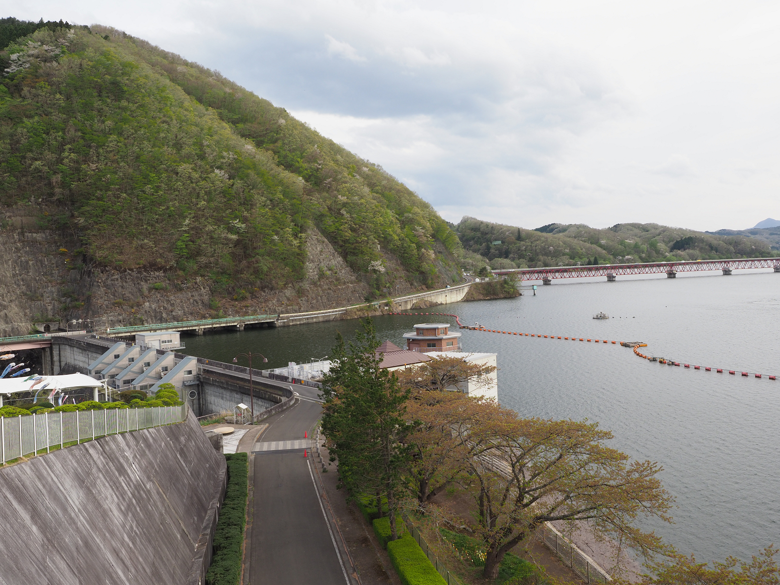 P5010544.jpg