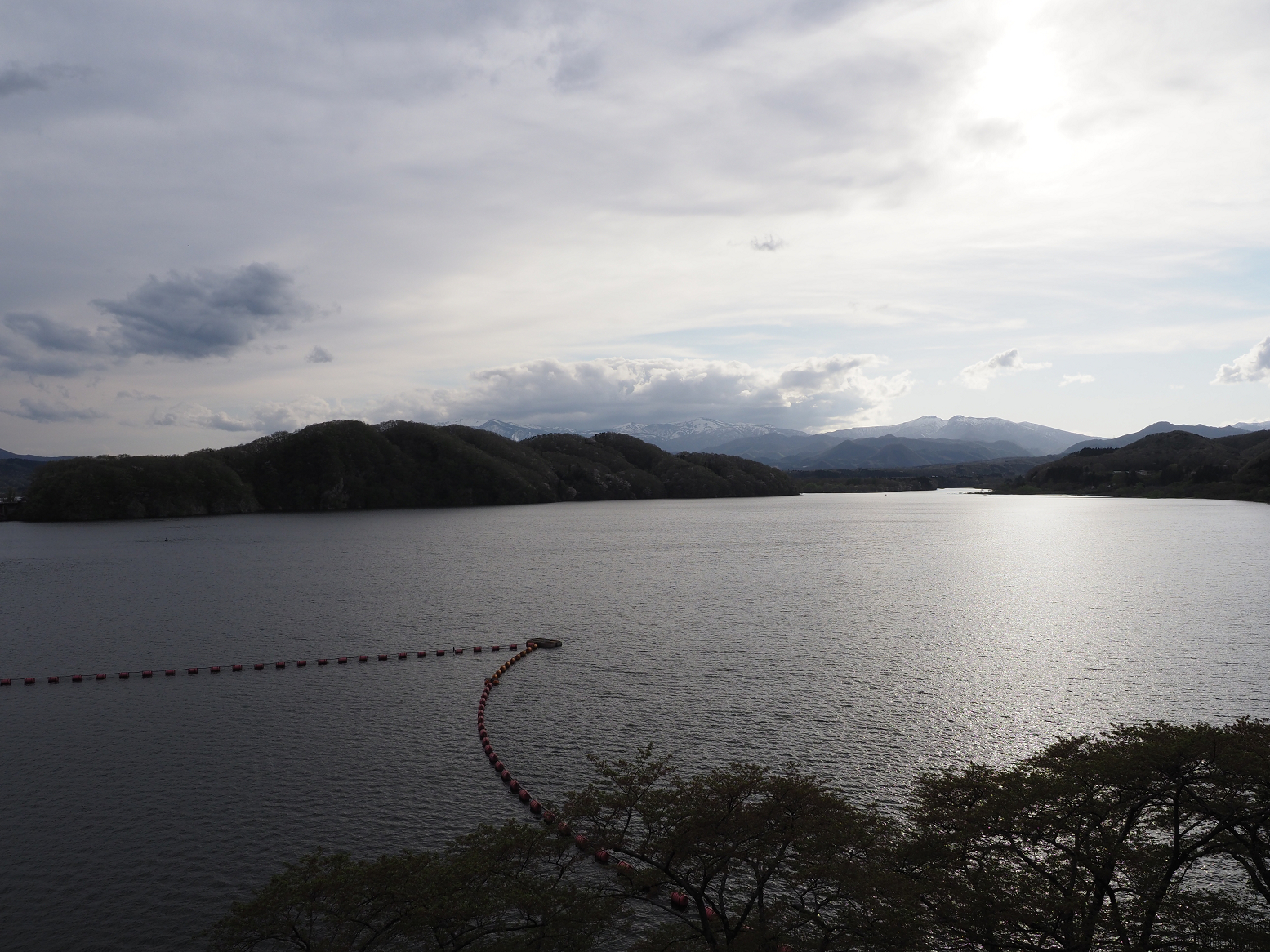P5010545.jpg