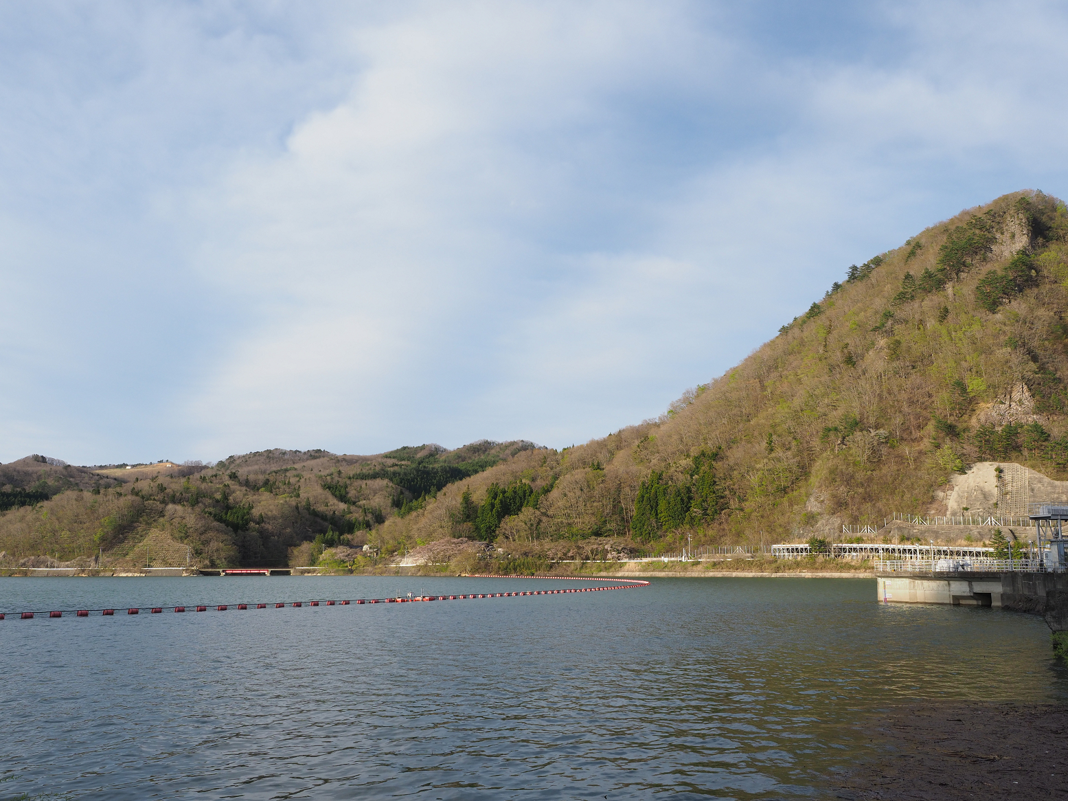 P5010556.jpg