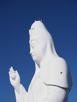 P5020618_thumb.png