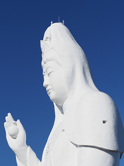 P5020635_thumb.png