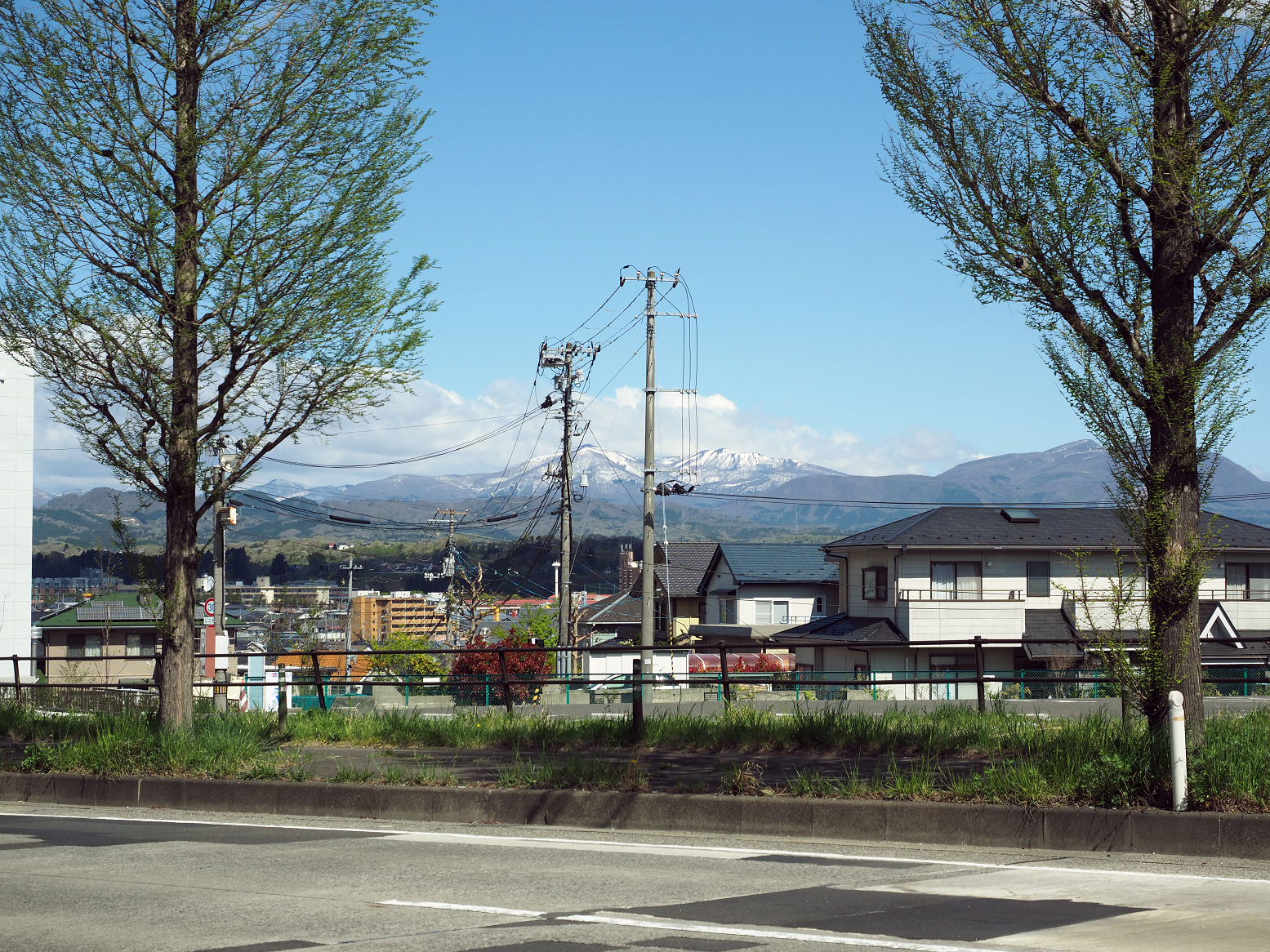 P5020669.jpg