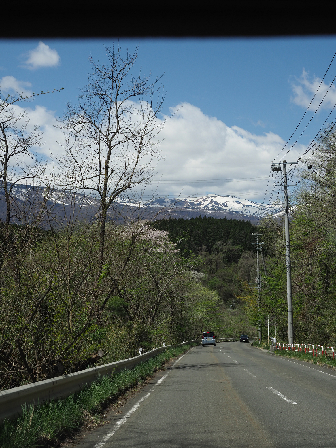 P5020768.jpg