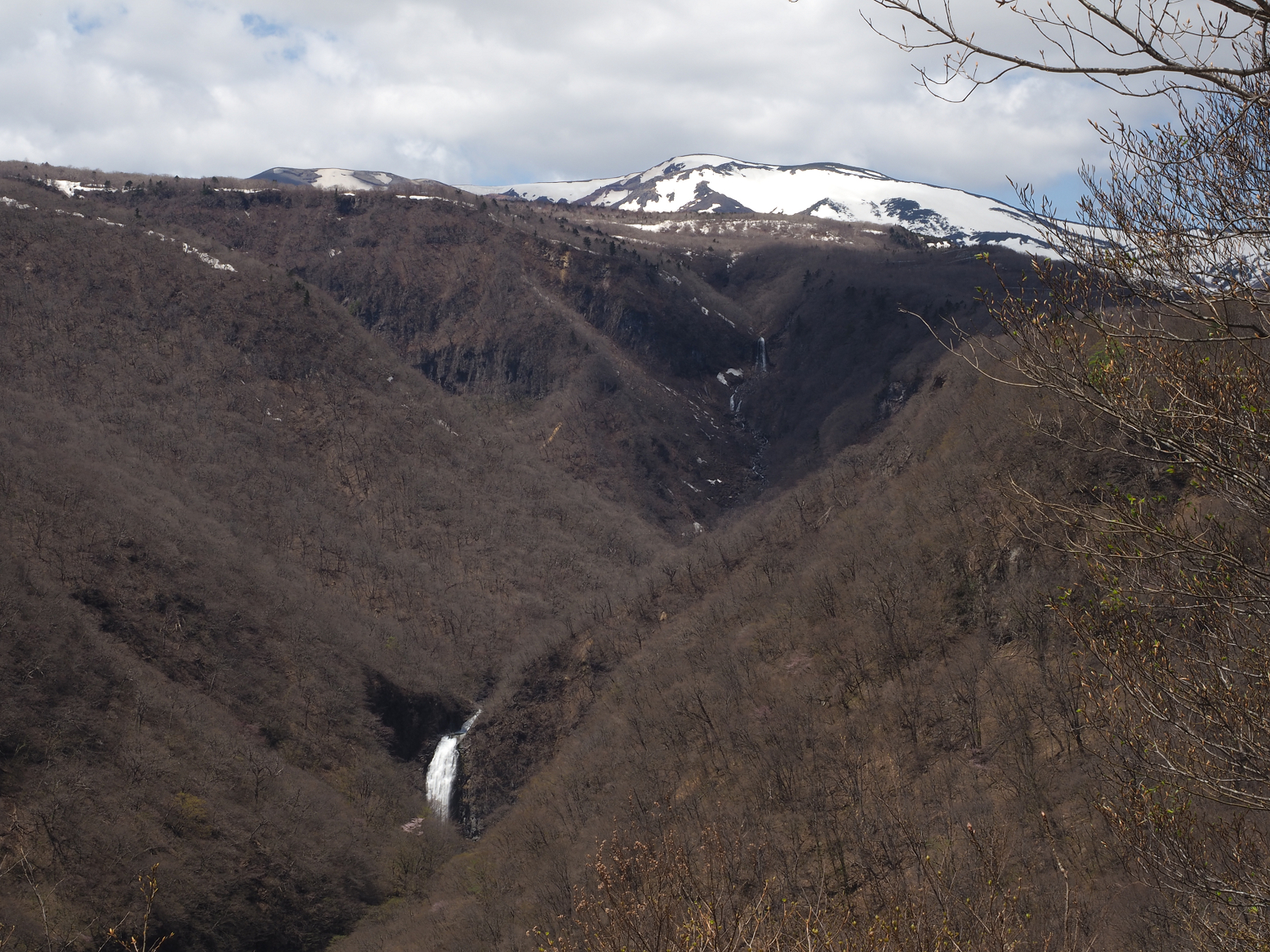 P5020784.jpg