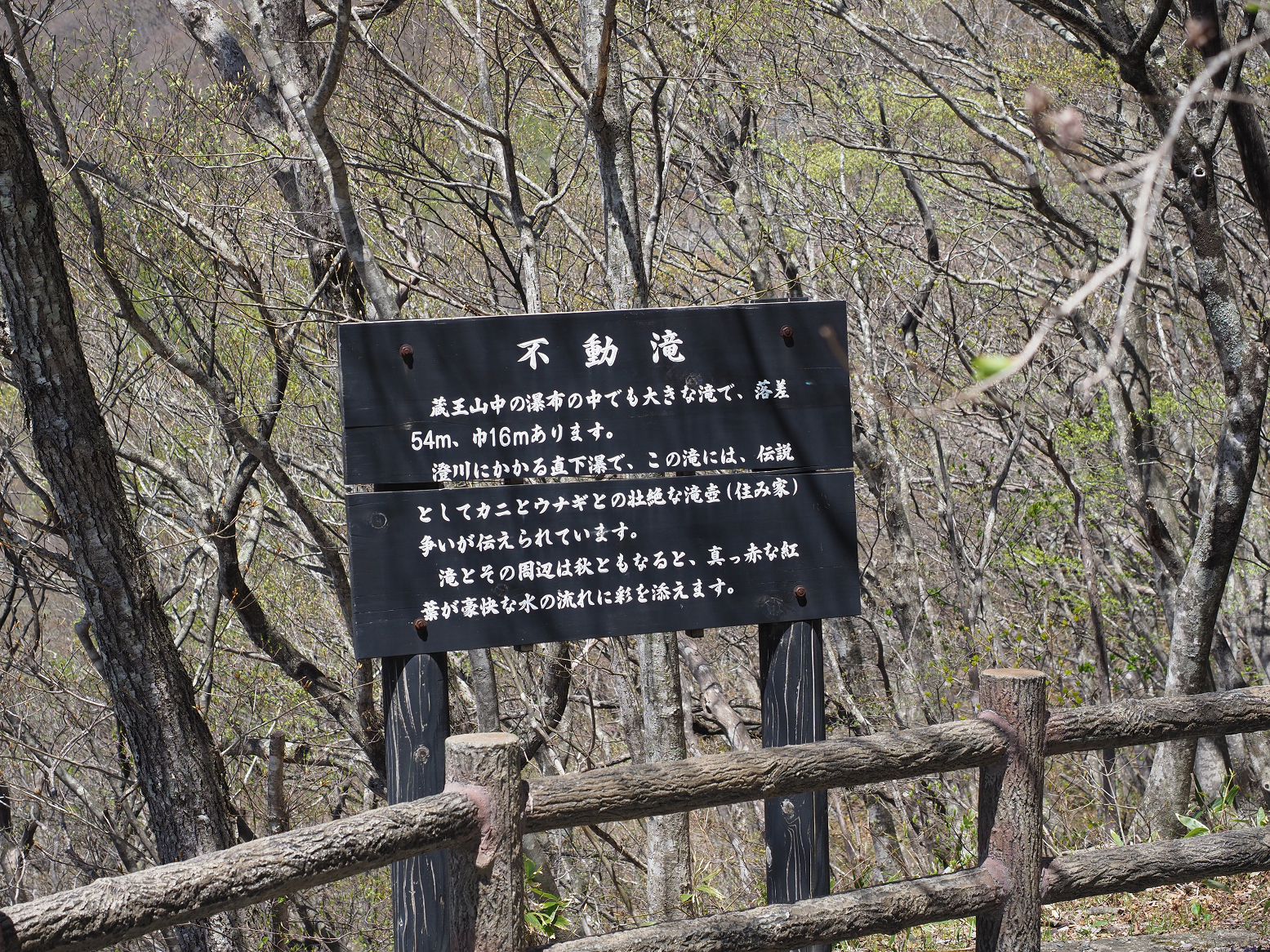 P5020786.jpg