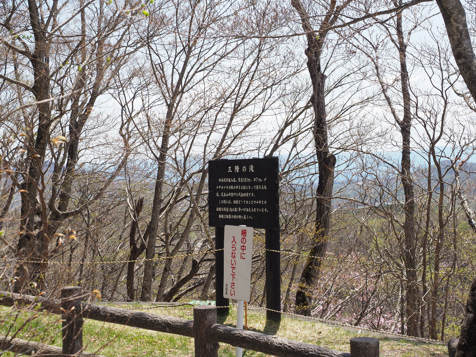 P5020787.jpg