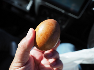 P5020945_thumb.png