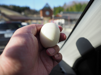 P5020946_thumb.png