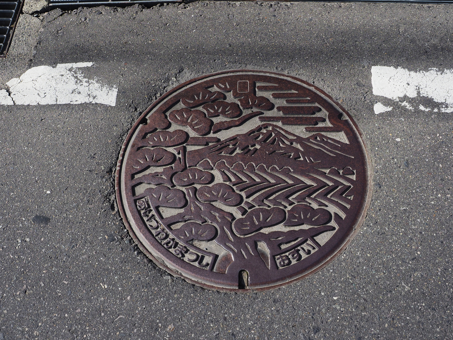 P5031040.jpg