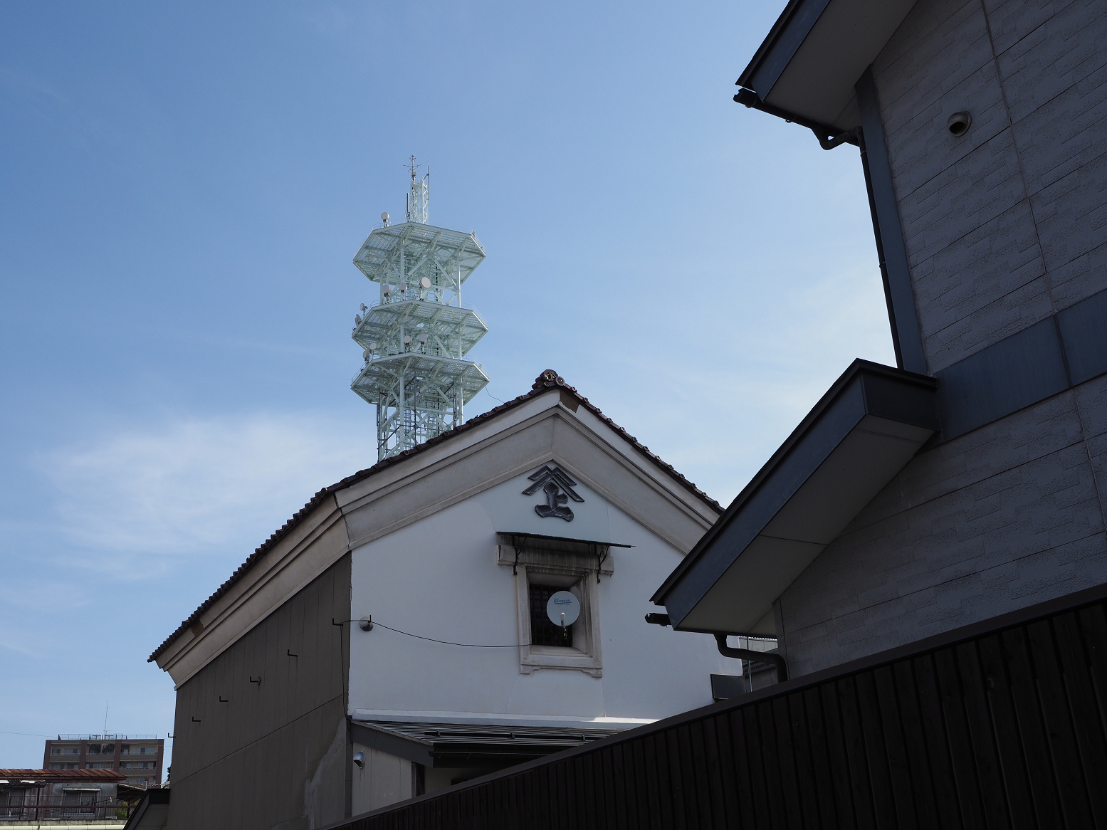 P5031042.jpg