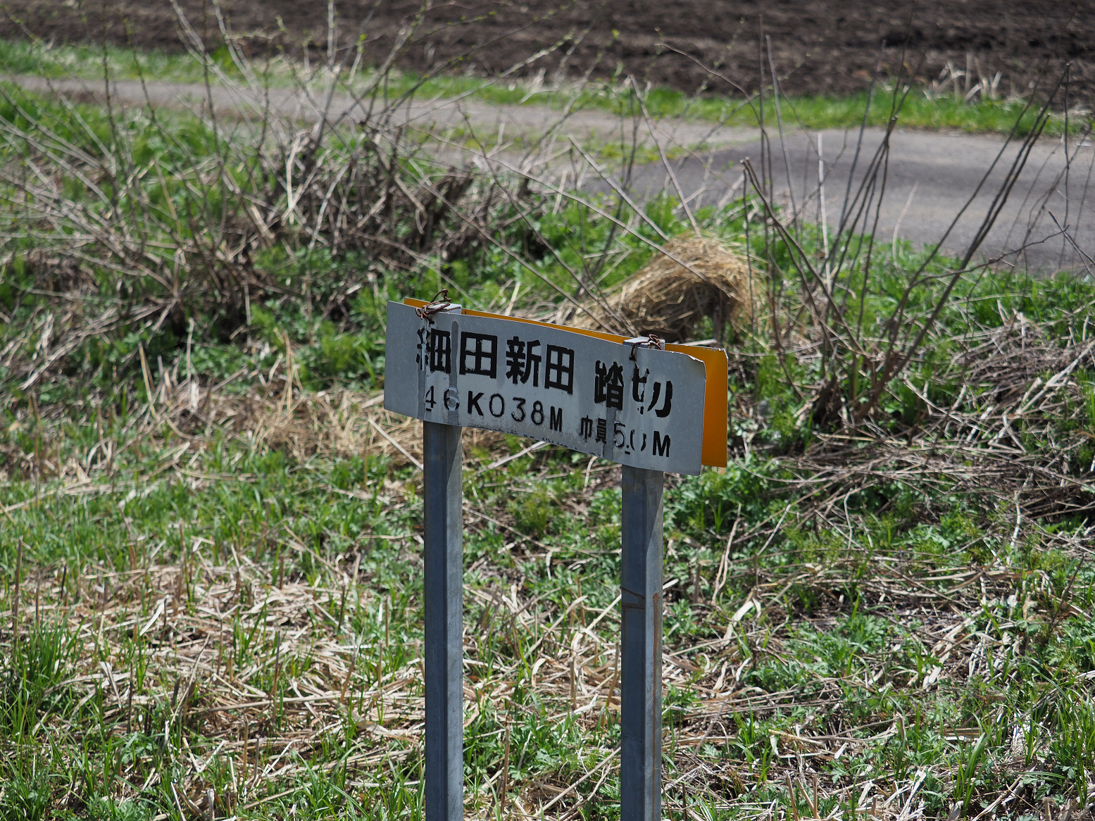 P5031081.jpg