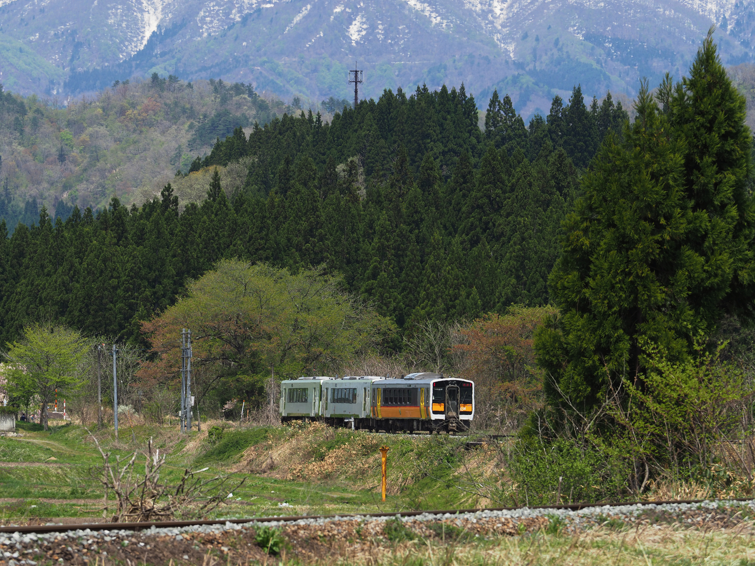 P5031210.jpg