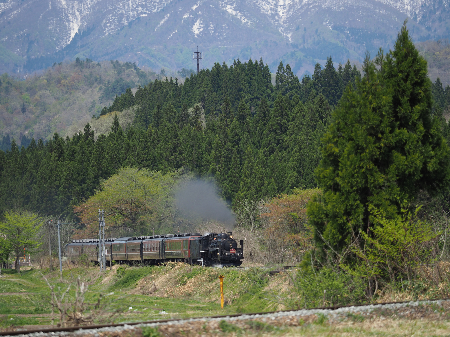 P5031240.jpg