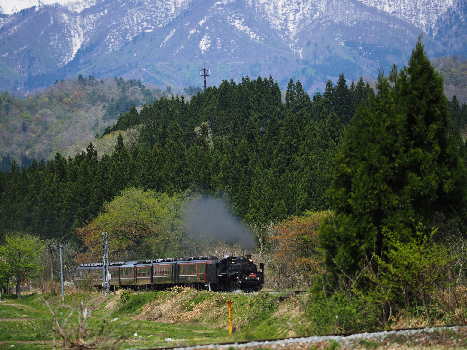 P5031246.jpg