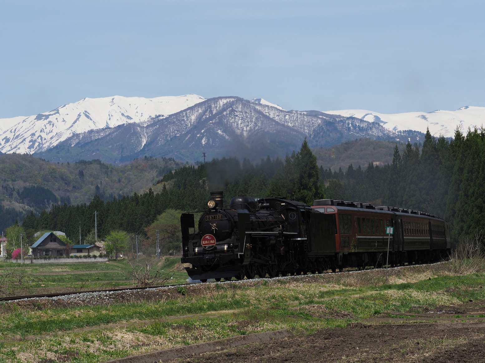 P5031275.jpg