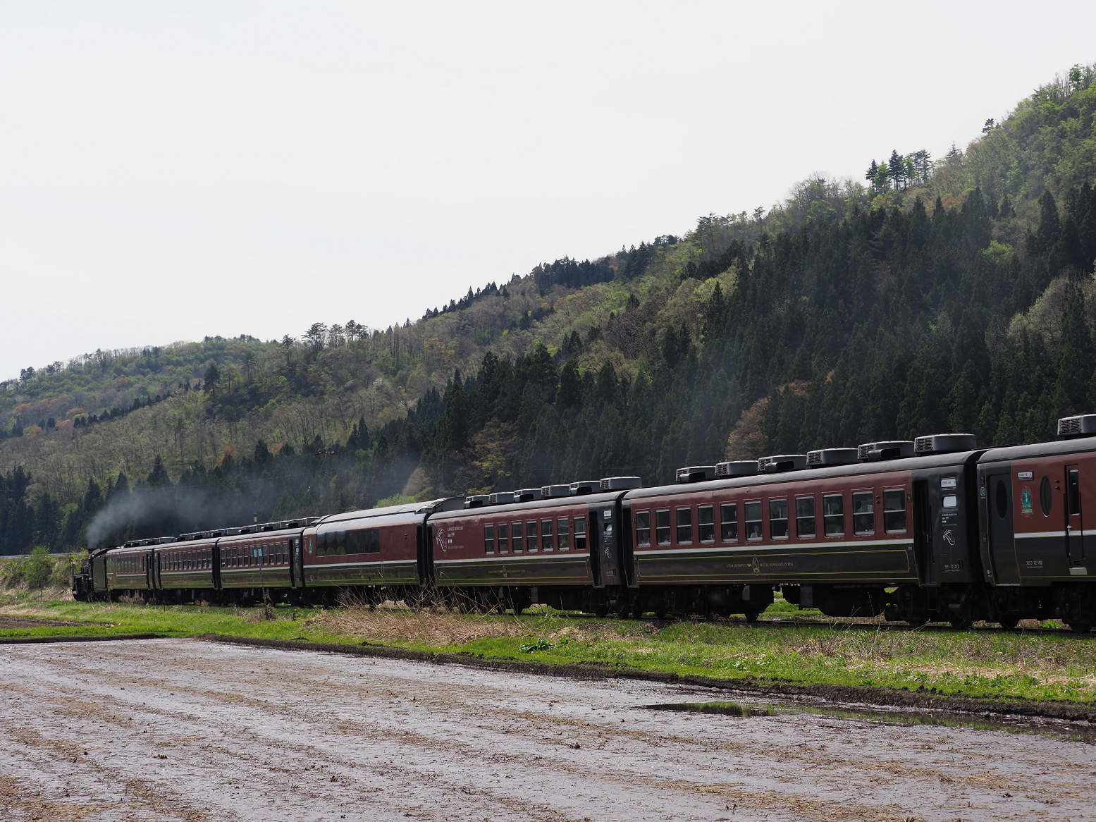 P5031334.jpg
