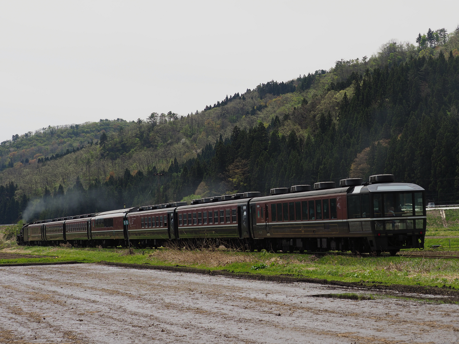 P5031342.jpg
