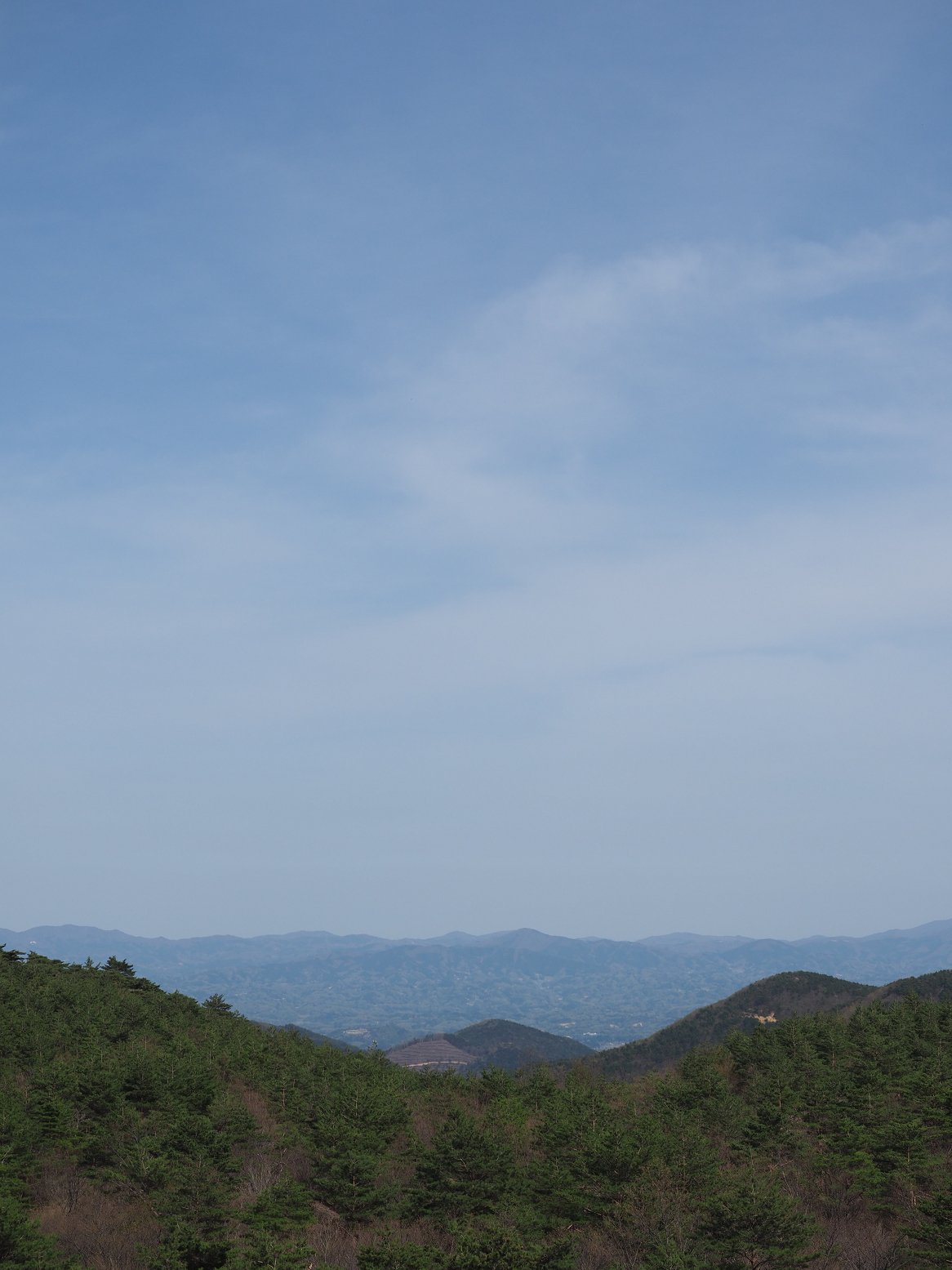 P5031366.jpg