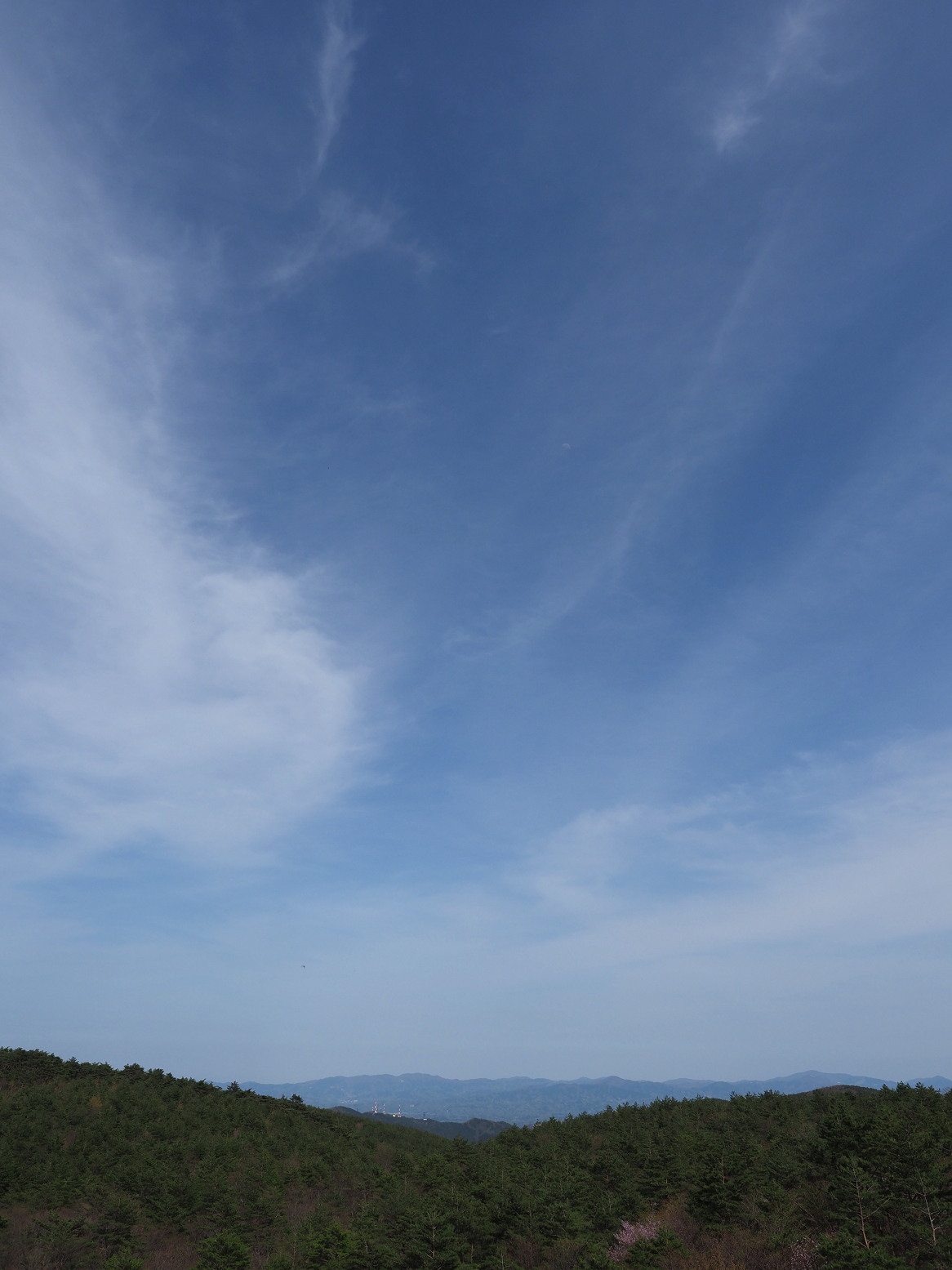 P5031369.jpg