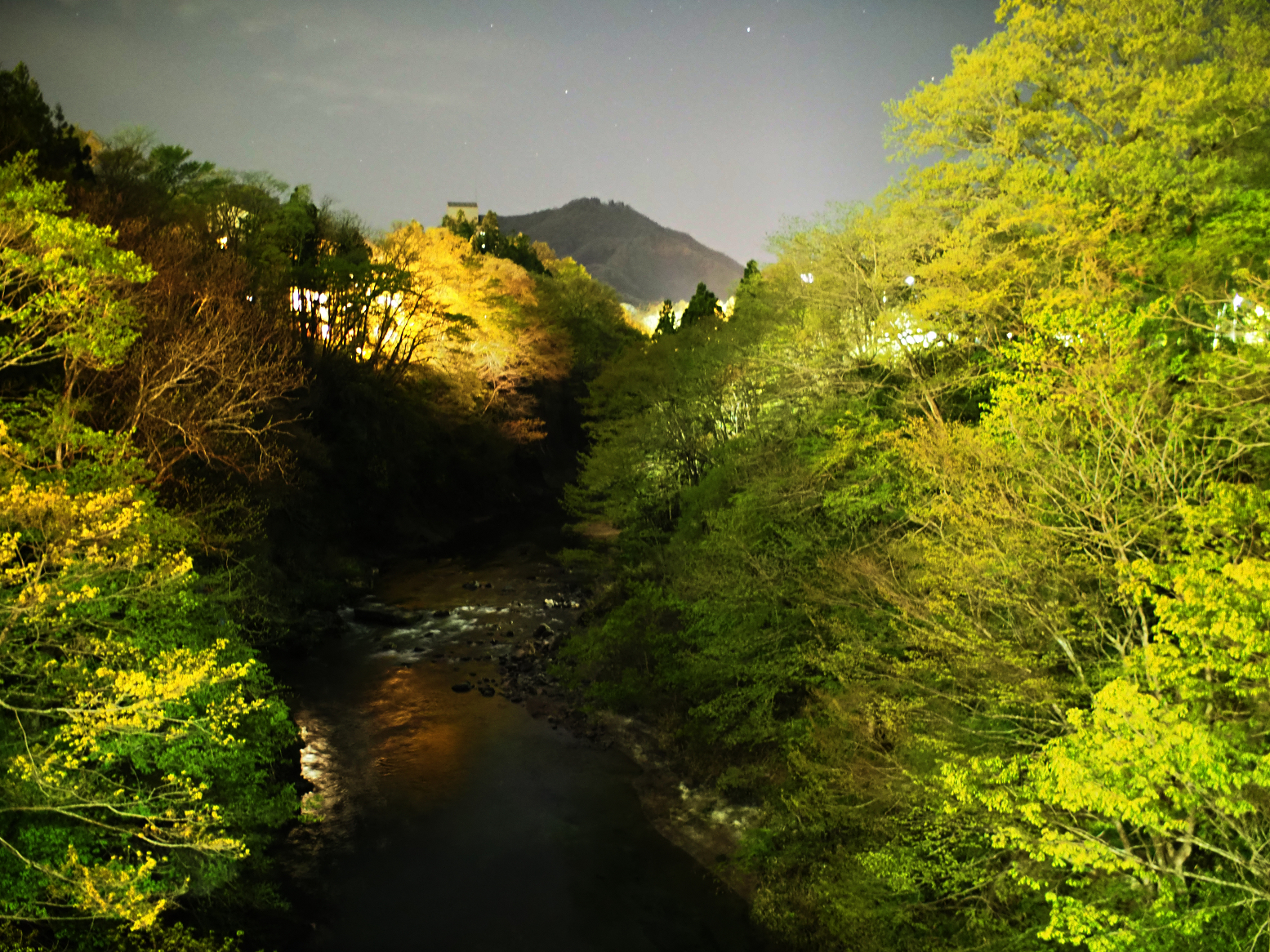 P5031420.jpg