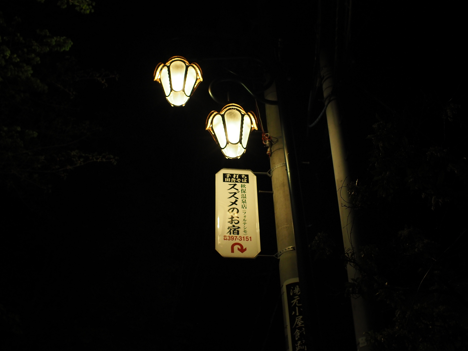 P5031435.jpg