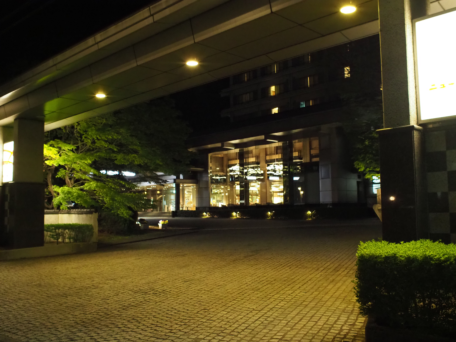 P5031437.jpg