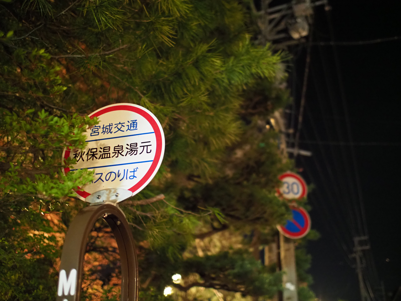 P5031439.jpg