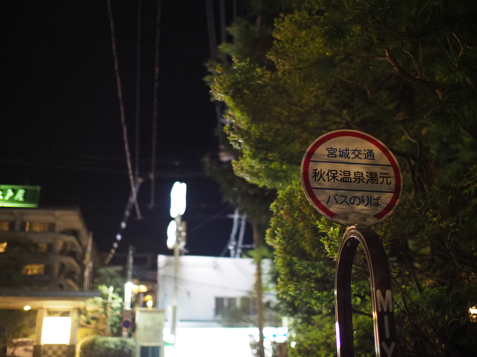P5031440.jpg