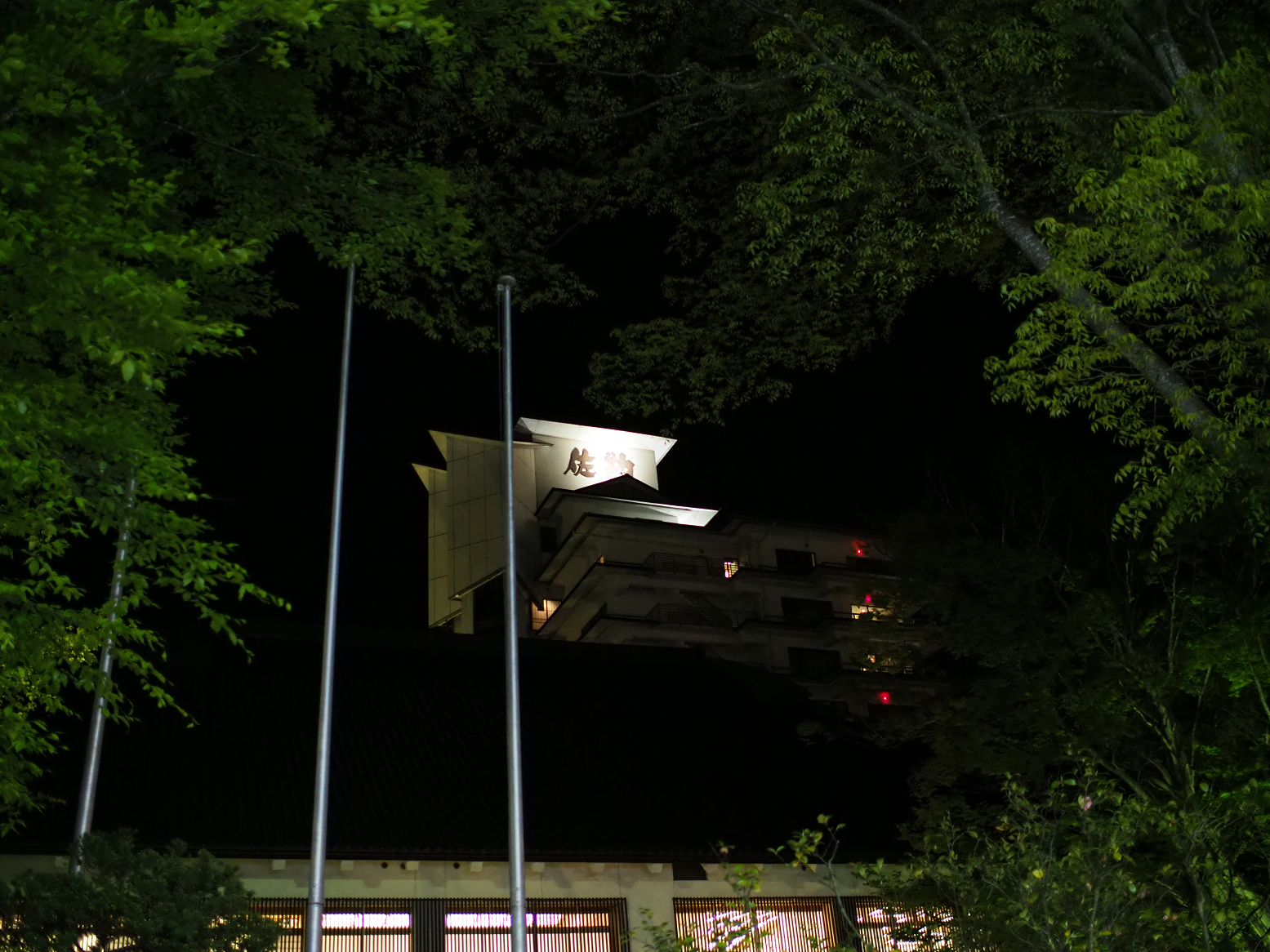 P5031444.jpg