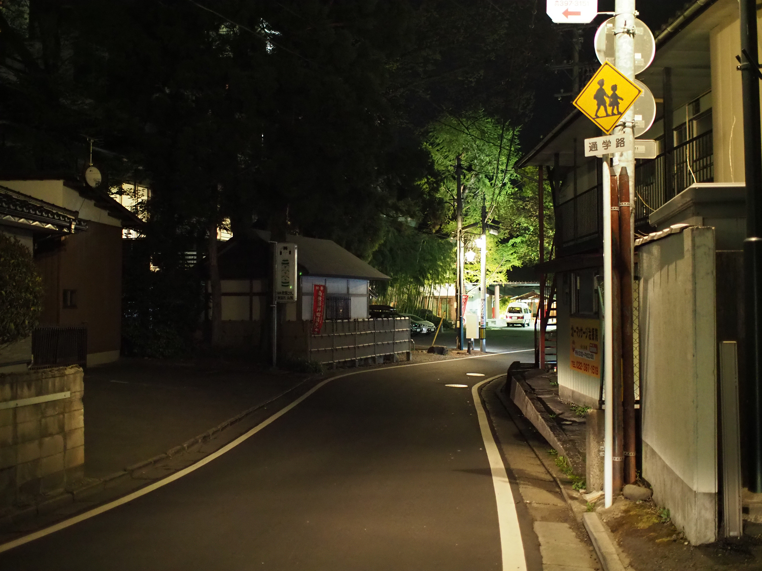 P5031450.jpg