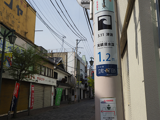 P5041571_thumb.png