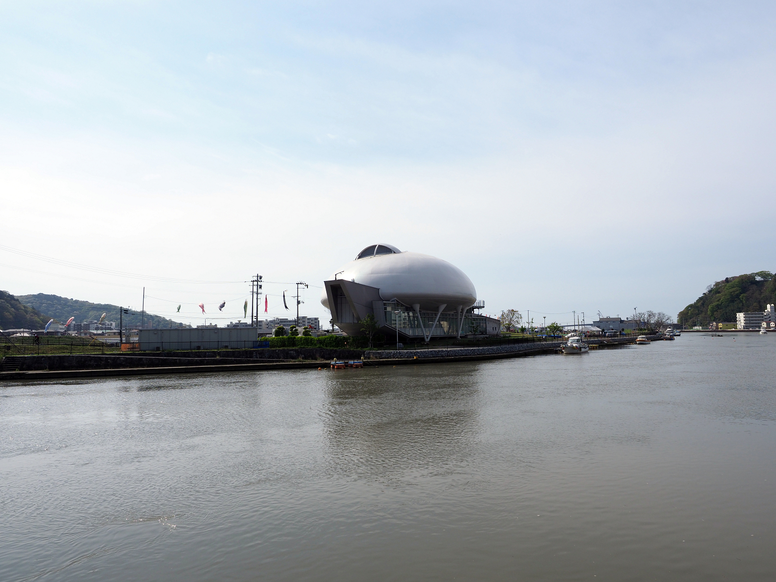 P5041610.jpg