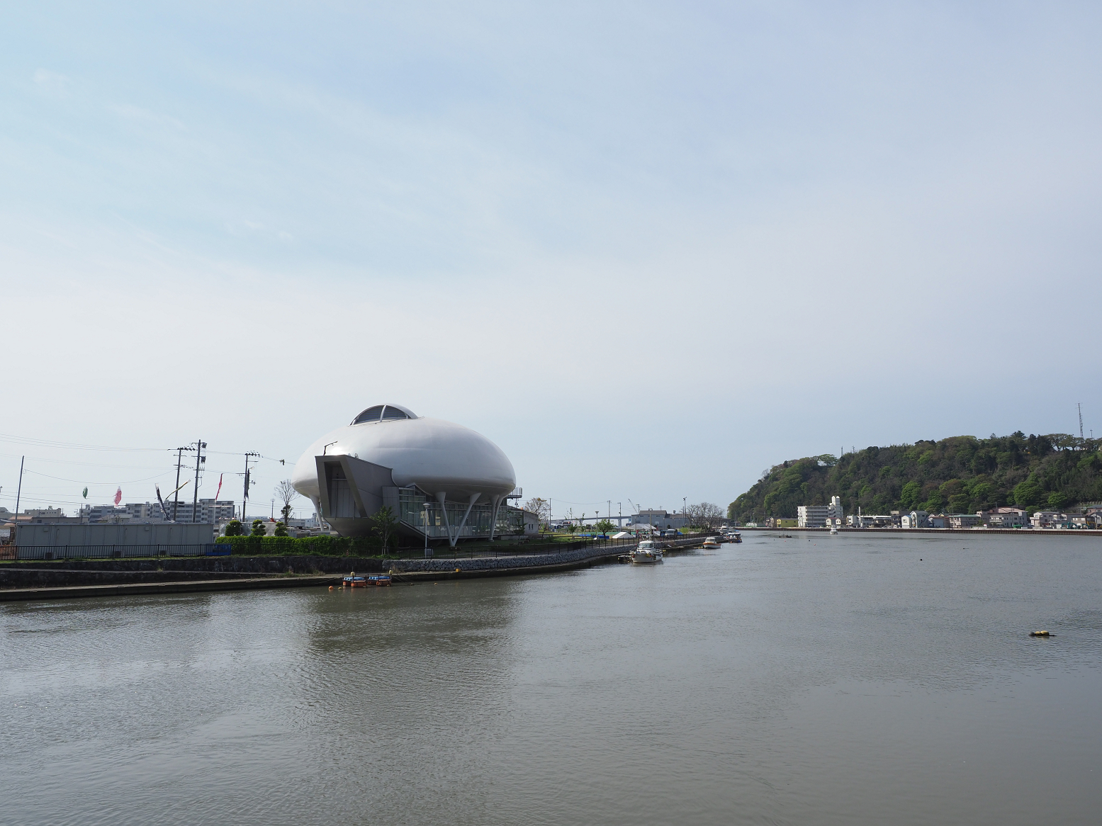 P5041615.jpg
