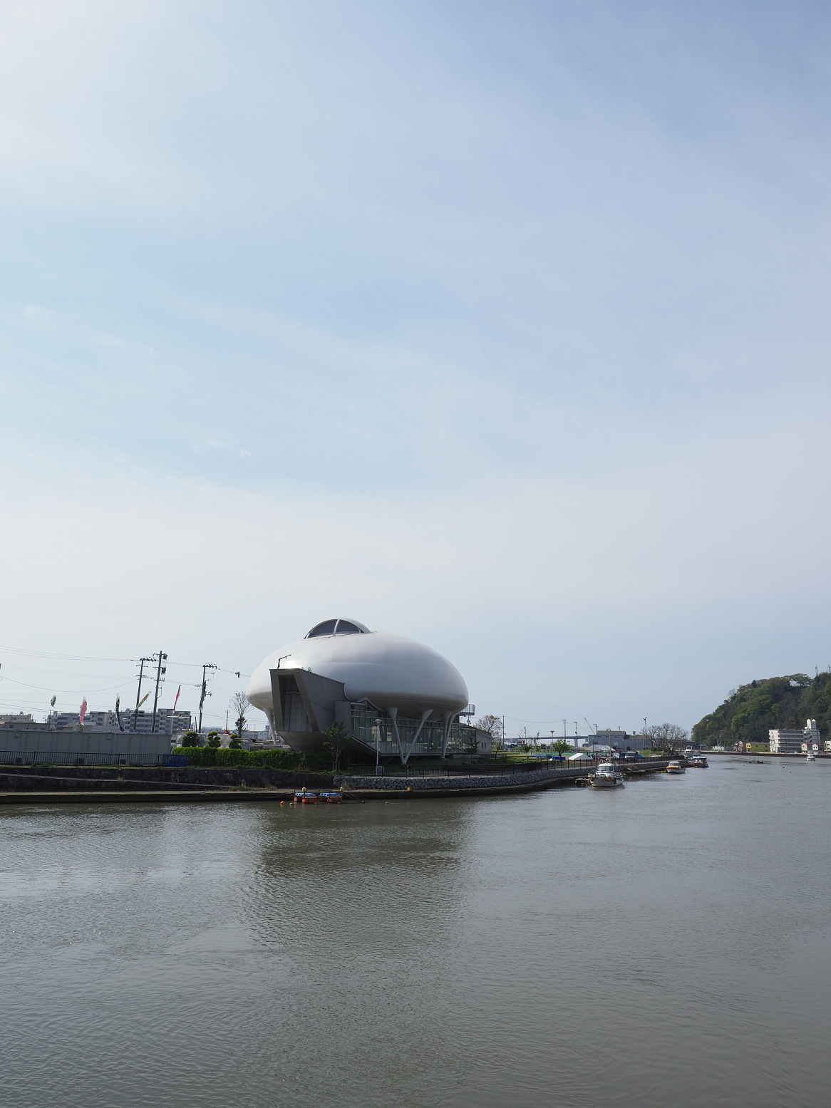P5041616.jpg