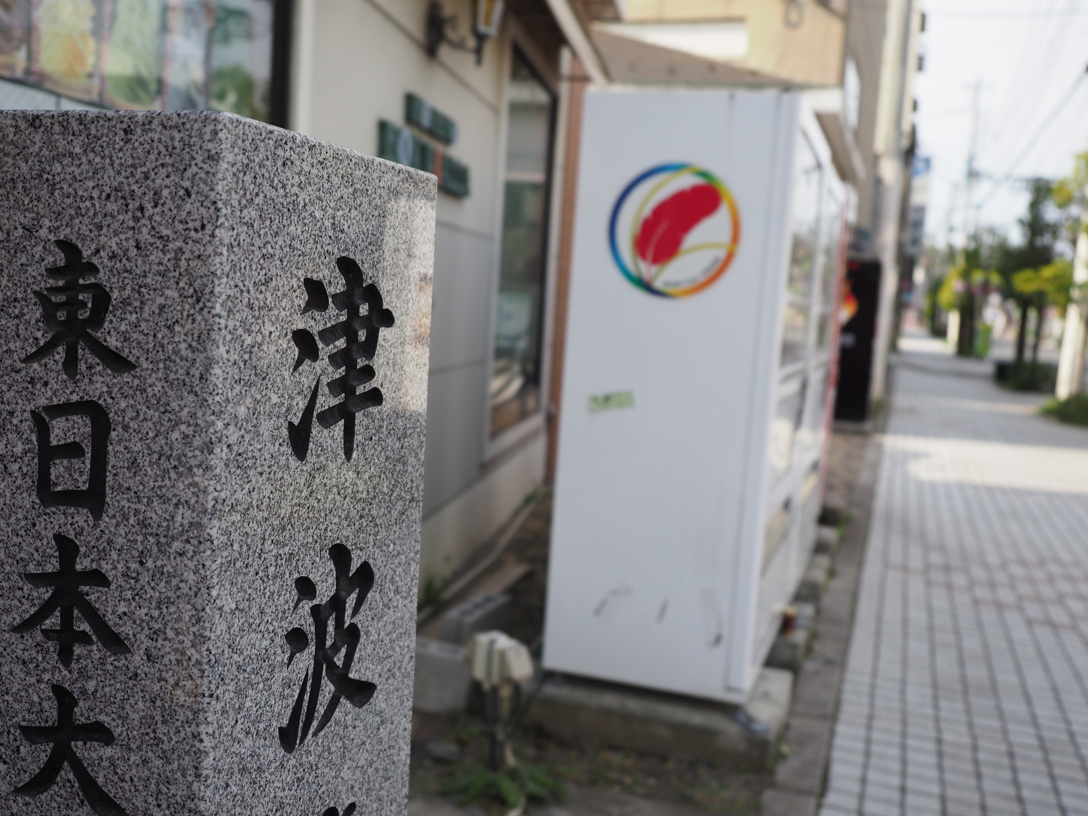 P5041638.jpg