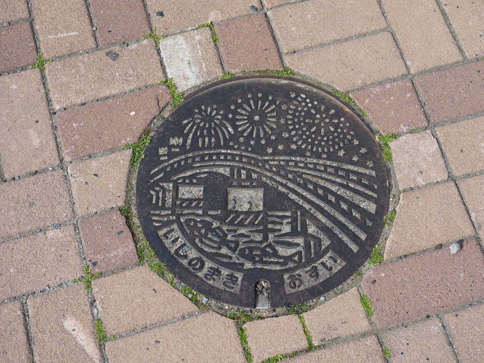 P5041646.jpg