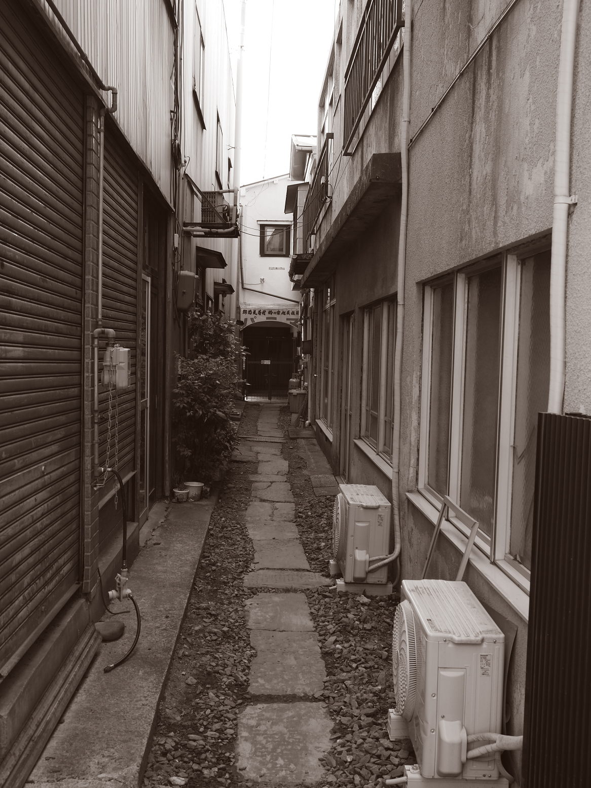 P5041664.jpg