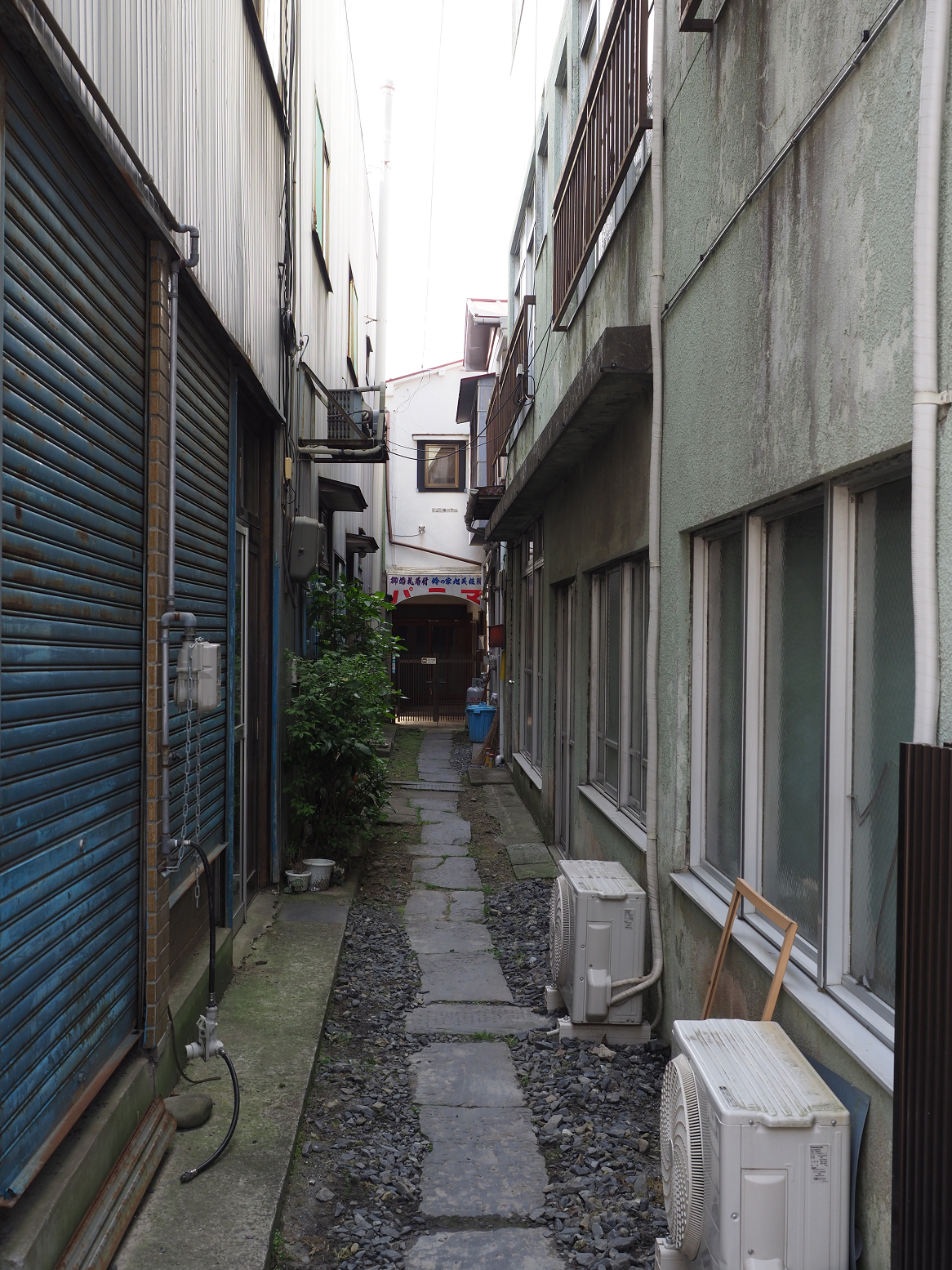 P5041666.jpg