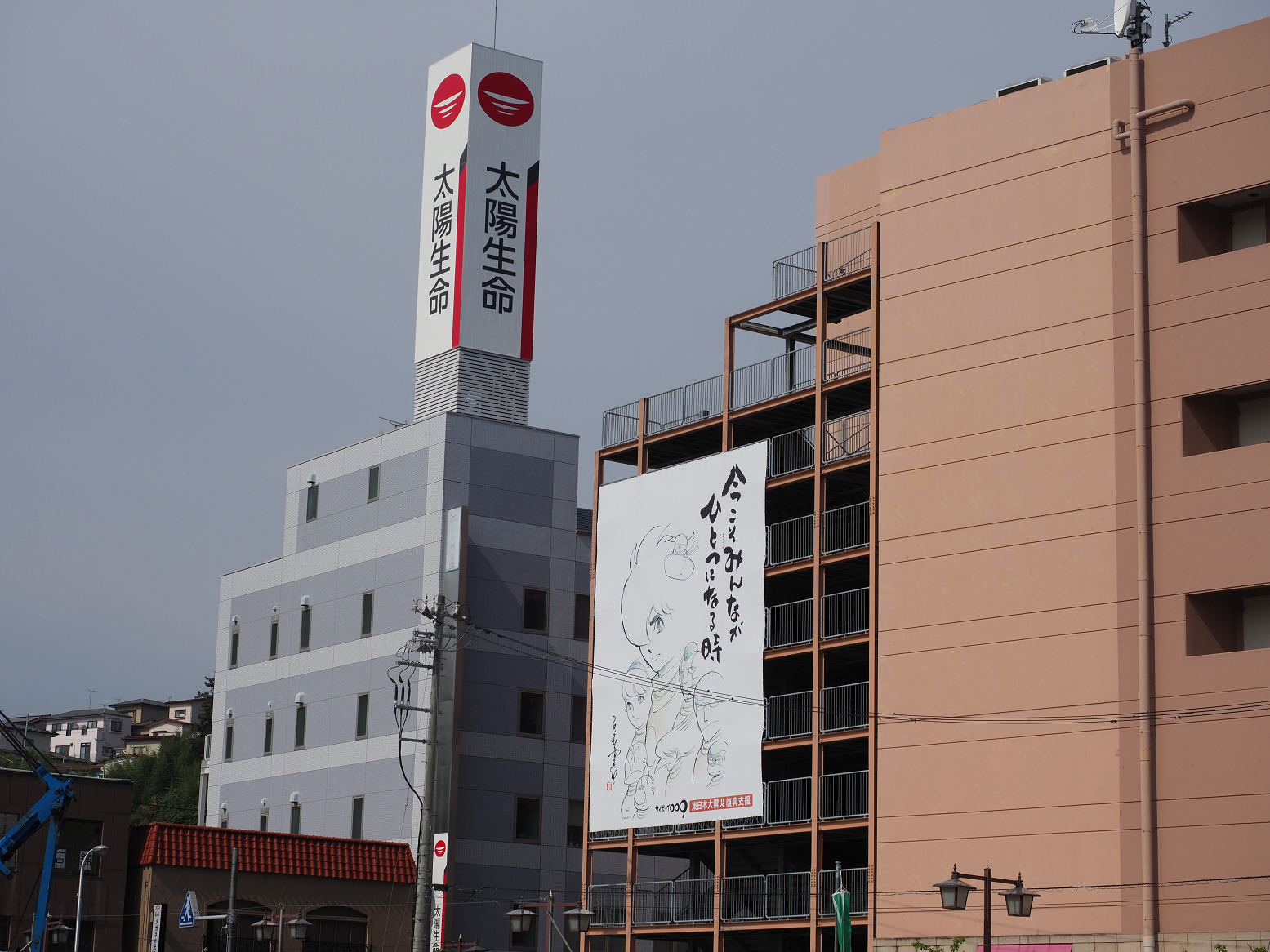 P5041688.jpg