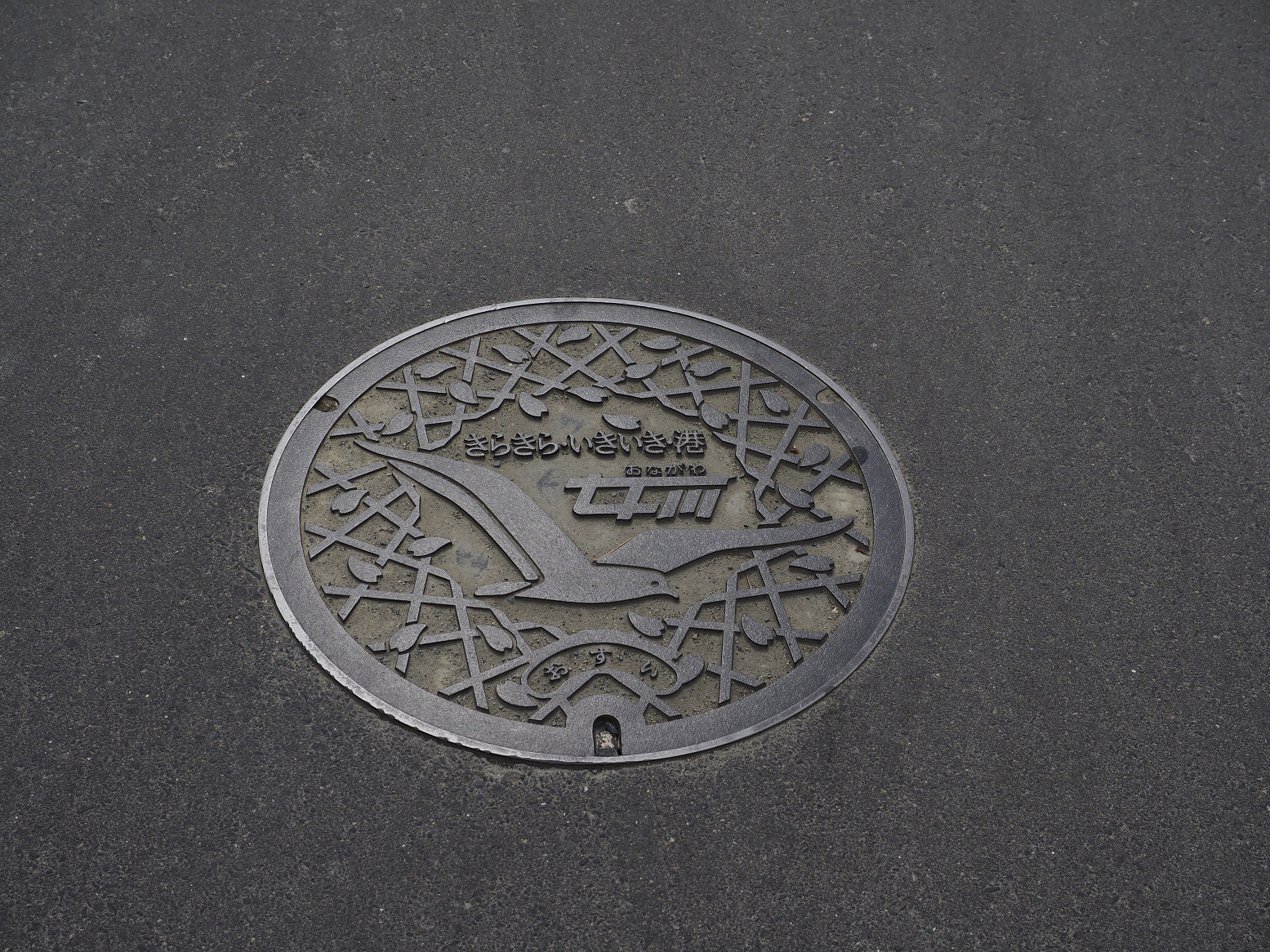 P5041692.jpg