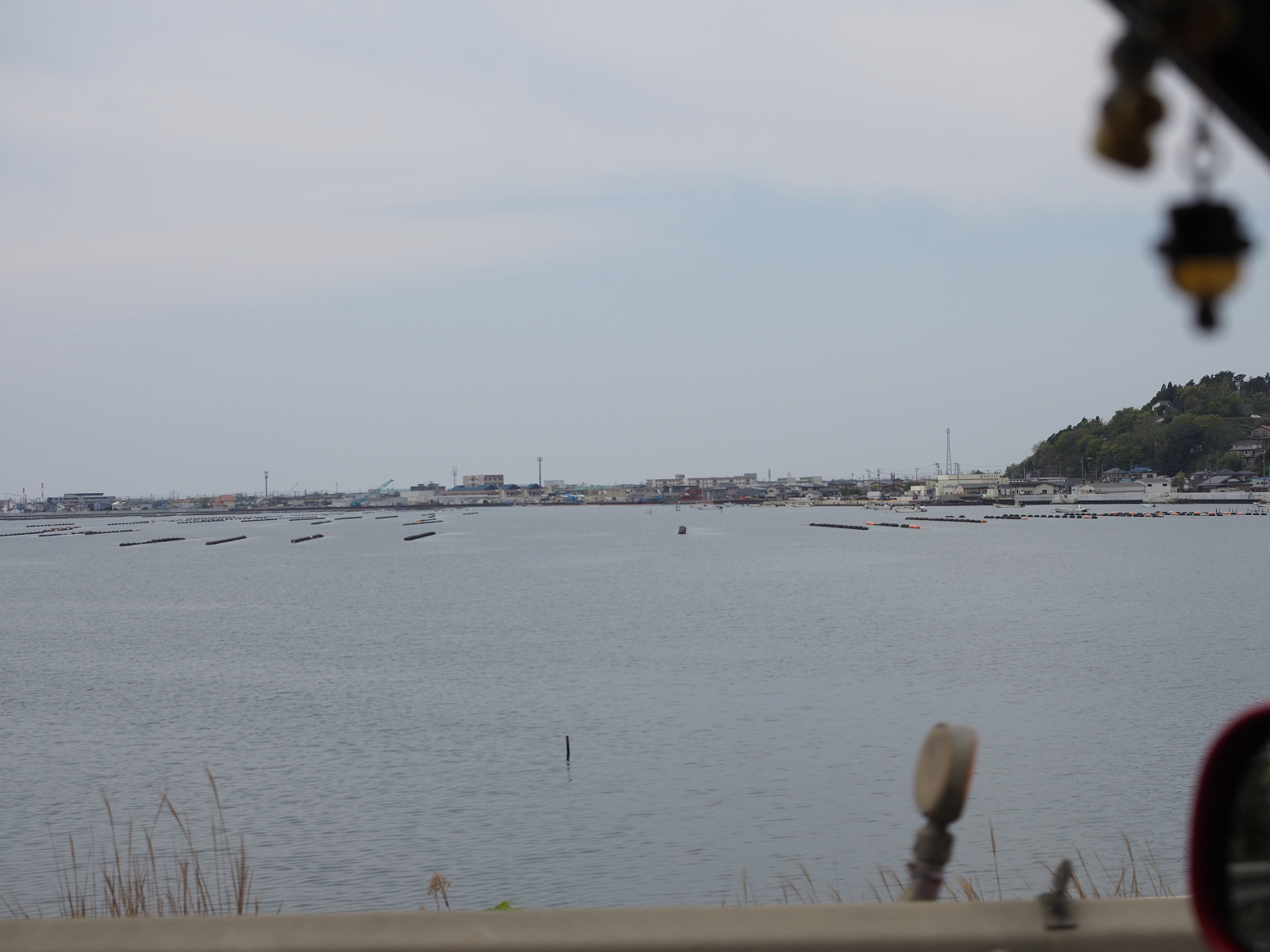 P5041871.jpg