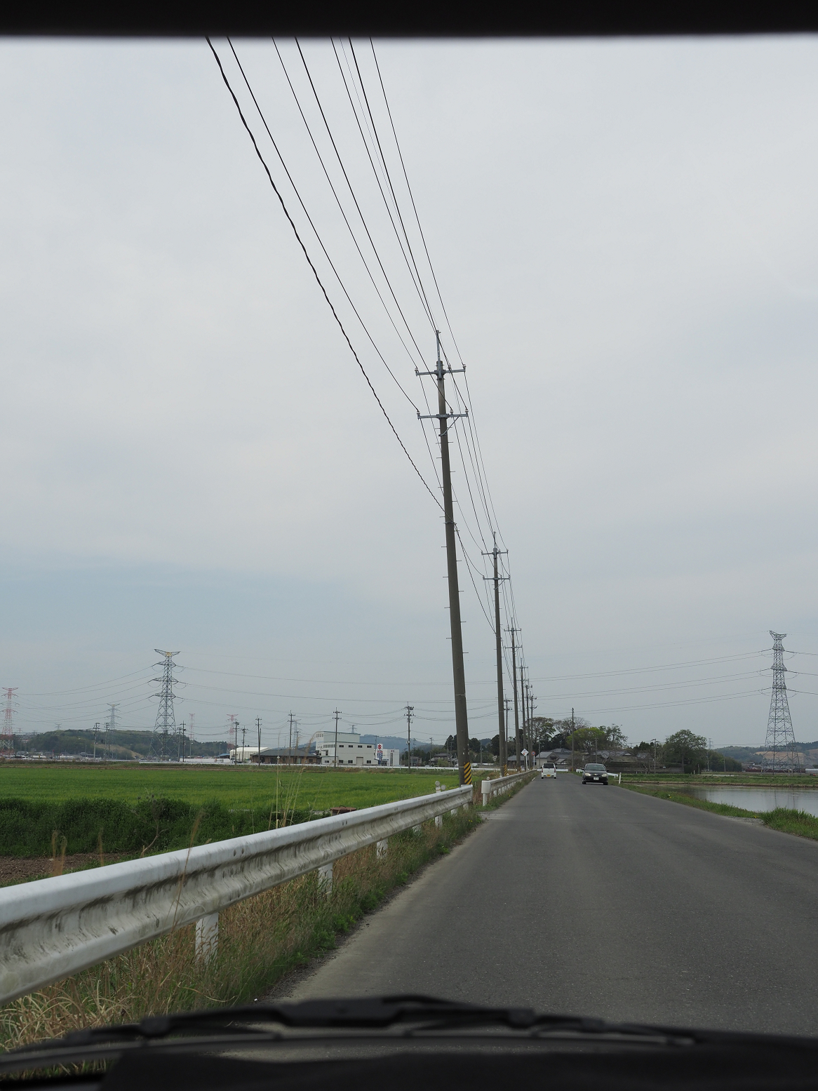 P5041874.jpg