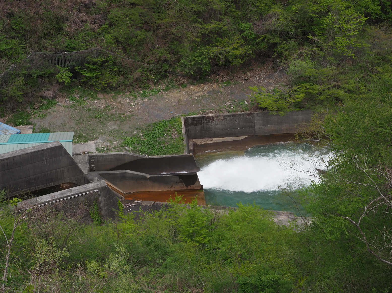 P5041899.jpg