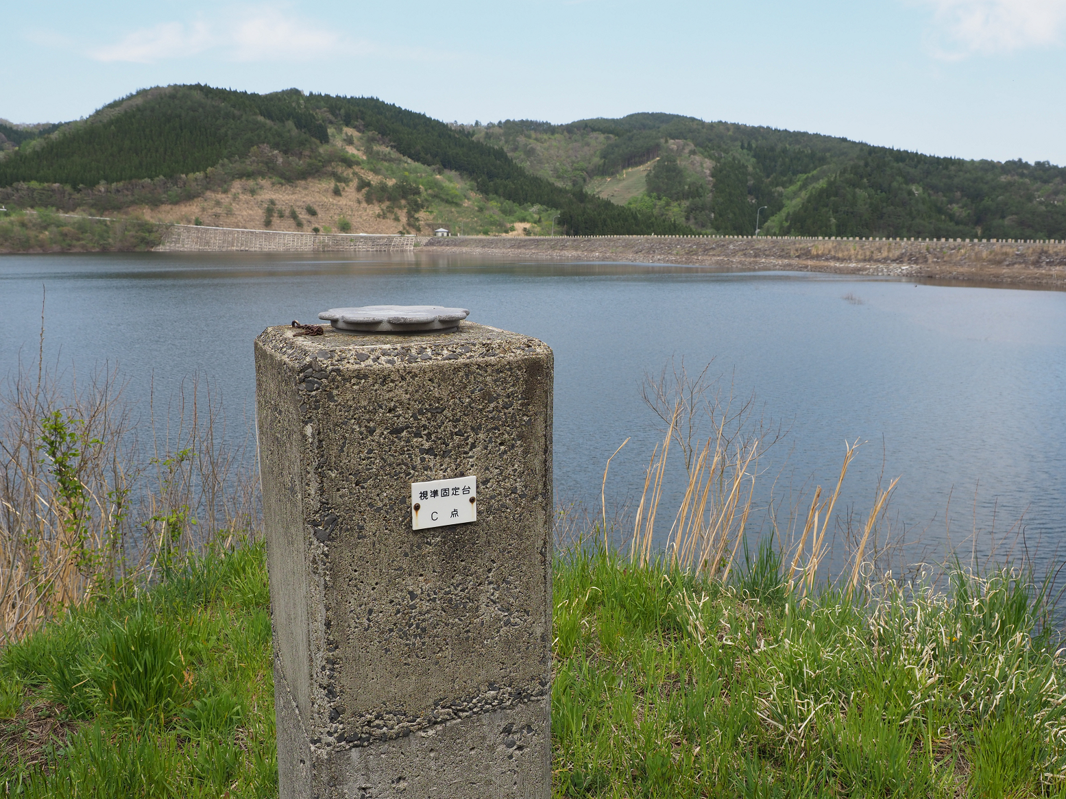 P5041917.jpg