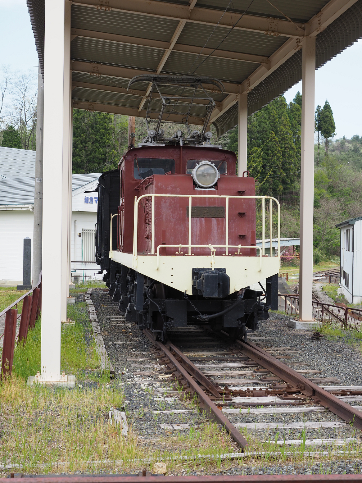 P5041921.jpg