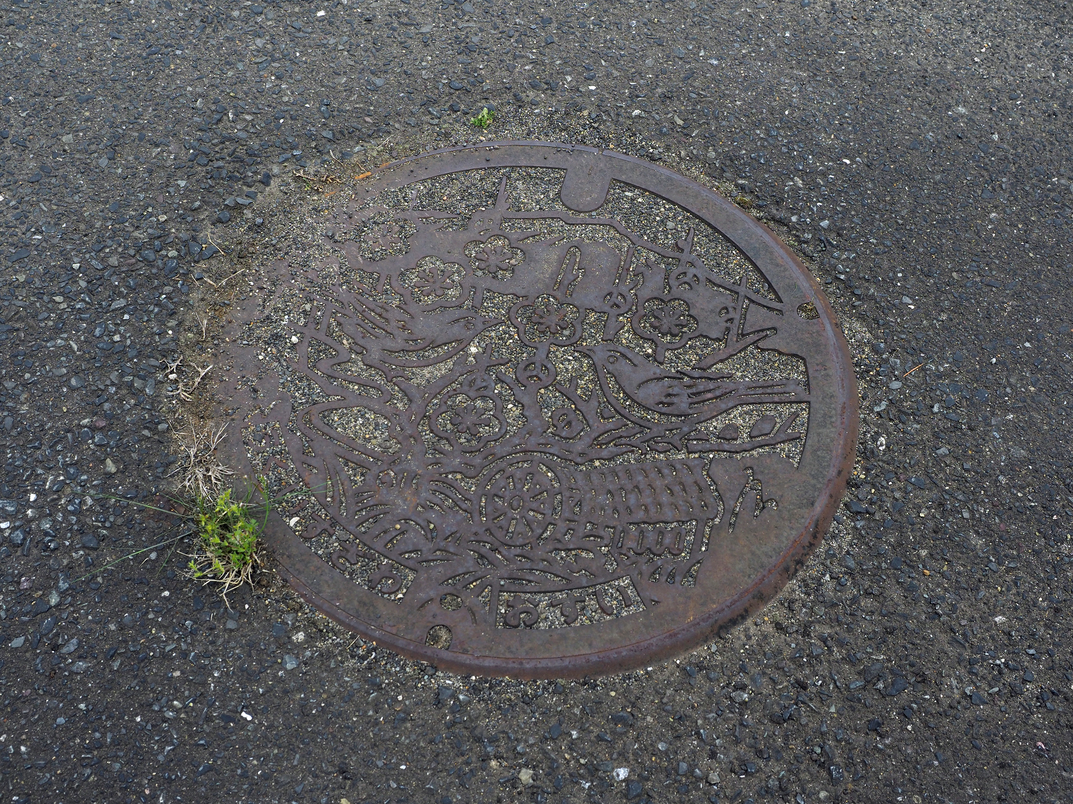 P5041934.jpg